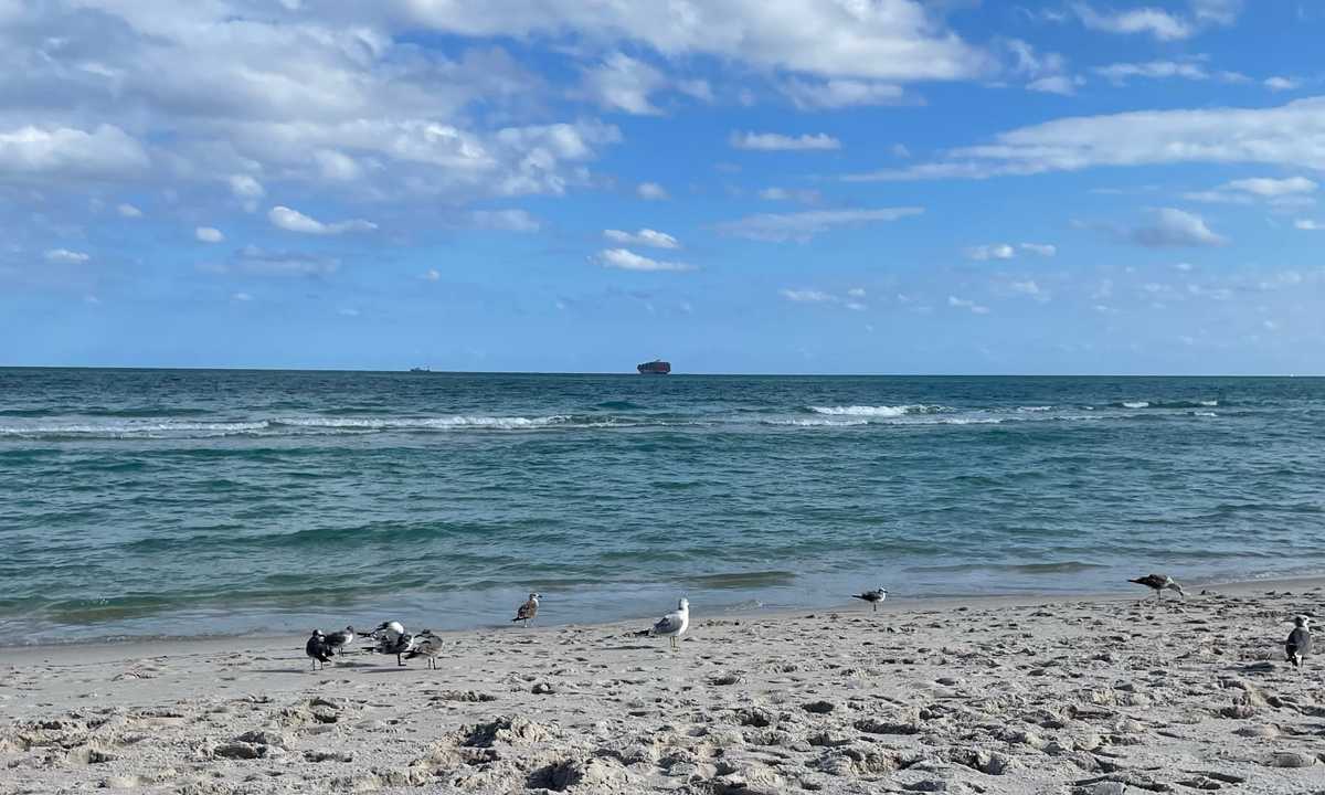 South Beach with cargo ship in the distance